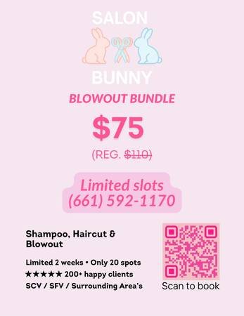 Mobile Blowout and Haircut - Smooth, Bouncy Styling (Valencia)