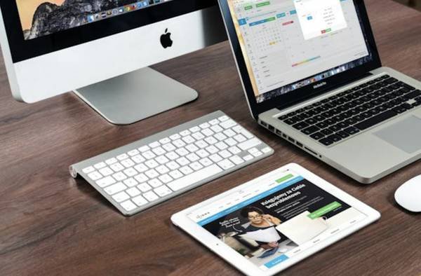 Affordable Web Design: WordPress, Shopify and Much More (20 Years Experience, Free Quote, Local)
