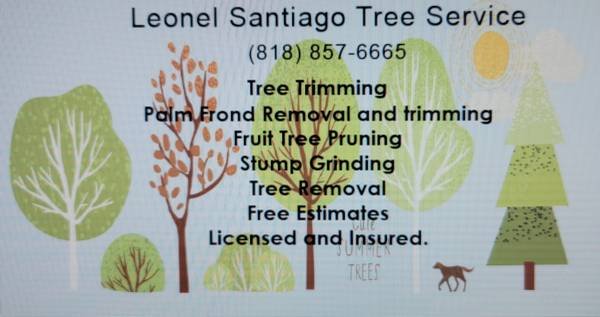 Tree Trimming, Shaping, Pruning, Gardening, and Landscaping Services by Gardener in West Hills