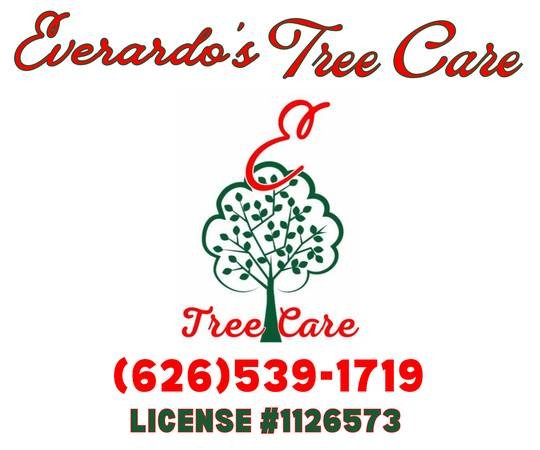 TREE SERVICE