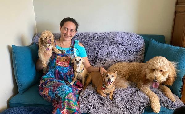 Dog Boarding, Pet Sitting, Doggy Daycare in Woodland Hills (Woodland Hills)