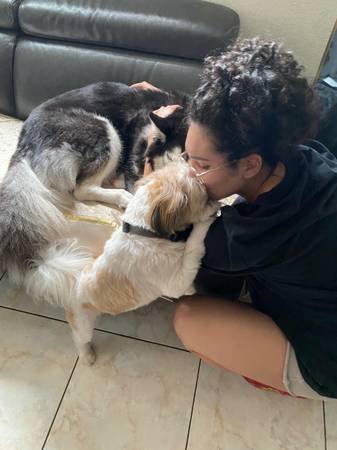$75.00 per Night House Sitting - Animal Lover and Enthusiast (Highland Park/Eagle Rock/Los Angeles)
